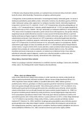 Mėsos technologinio proceso analizė 8 puslapis