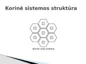 GSM tinklo struktūra 4 puslapis