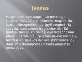 Magnetinės medžiagos (kietamagnetės medžiagos) 2 puslapis