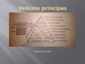 Magnetinės medžiagos (kietamagnetės medžiagos) 9 puslapis