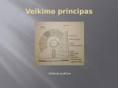 Magnetinės medžiagos (kietamagnetės medžiagos) 10 puslapis