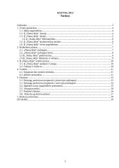 Verslo planas "Namų idėja" 2 puslapis