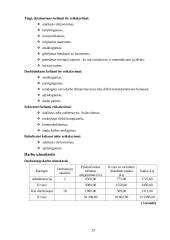 Verslo planas "Namų idėja" 12 puslapis