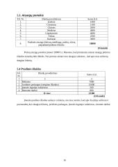 Verslo planas "Namų idėja" 16 puslapis