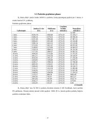 Verslo planas "Namų idėja" 17 puslapis