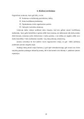 Verslo planas "Namų idėja" 18 puslapis