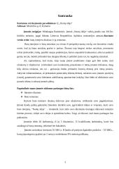 Verslo planas "Namų idėja" 3 puslapis