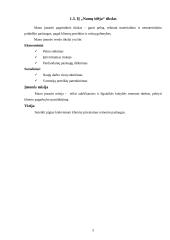 Verslo planas "Namų idėja" 5 puslapis