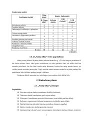 Verslo planas "Namų idėja" 7 puslapis
