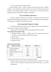 Verslo planas "Namų idėja" 9 puslapis