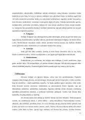Tarptautinis protokolas ir etiketas Indijoje 11 puslapis