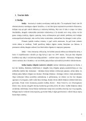 Tarptautinis protokolas ir etiketas Indijoje 4 puslapis