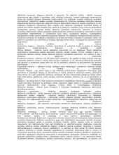 Demonstracinės reklamos formos 2 puslapis