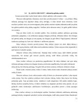 IĮ ,,Lock and safe“ verslo planas 12 puslapis