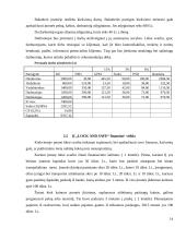 IĮ ,,Lock and safe“ verslo planas 15 puslapis