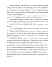 IĮ ,,Lock and safe“ verslo planas 16 puslapis