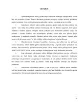 IĮ ,,Lock and safe“ verslo planas 17 puslapis