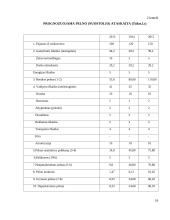 IĮ ,,Lock and safe“ verslo planas 20 puslapis