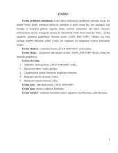 IĮ ,,Lock and safe“ verslo planas 3 puslapis