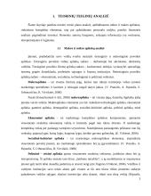 IĮ ,,Lock and safe“ verslo planas 4 puslapis