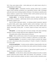 IĮ ,,Lock and safe“ verslo planas 5 puslapis