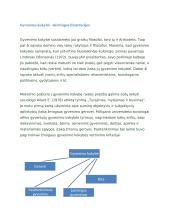 Gyvenimo kokybės samprata 4 puslapis