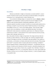 Filosofija ir religija esė 4 puslapis