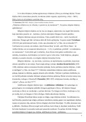 Filosofija ir religija esė 6 puslapis