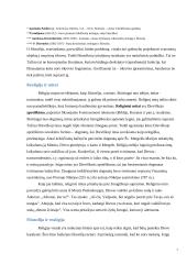 Filosofija ir religija esė 7 puslapis