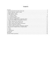 SBA baldai marketingo sprendimai 2 puslapis