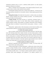 SBA baldai marketingo sprendimai 13 puslapis