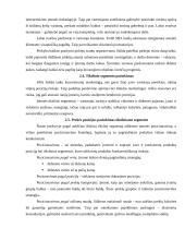 SBA baldai marketingo sprendimai 14 puslapis