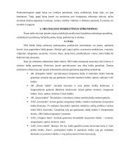 SBA baldai marketingo sprendimai 16 puslapis