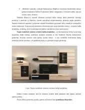 SBA baldai marketingo sprendimai 17 puslapis