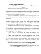 SBA baldai marketingo sprendimai 18 puslapis