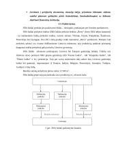 SBA baldai marketingo sprendimai 19 puslapis