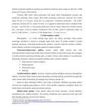 SBA baldai marketingo sprendimai 7 puslapis