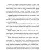 SBA baldai marketingo sprendimai 8 puslapis