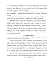 SBA baldai marketingo sprendimai 9 puslapis