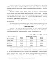 SBA baldai marketingo sprendimai 10 puslapis