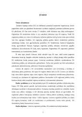 ES struktūrinių fondų vaidmuo Lietuvos regioninėje politikoje 2 puslapis