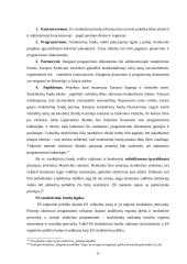 ES struktūrinių fondų vaidmuo Lietuvos regioninėje politikoje 11 puslapis