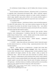 ES struktūrinių fondų vaidmuo Lietuvos regioninėje politikoje 12 puslapis