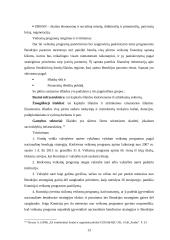 ES struktūrinių fondų vaidmuo Lietuvos regioninėje politikoje 13 puslapis