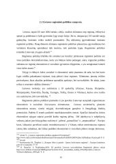 ES struktūrinių fondų vaidmuo Lietuvos regioninėje politikoje 15 puslapis