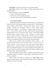 ES struktūrinių fondų vaidmuo Lietuvos regioninėje politikoje 3 puslapis