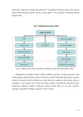 Pasaulinė vandenynų tarša 12 puslapis