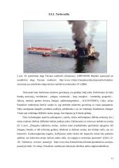 Pasaulinė vandenynų tarša 13 puslapis