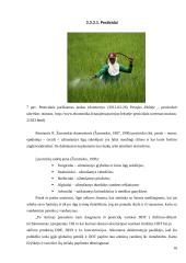 Pasaulinė vandenynų tarša 18 puslapis