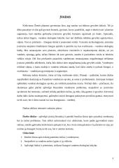 Pasaulinė vandenynų tarša 5 puslapis